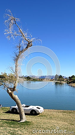 Wispy Tree in front of a White Convertible on Lake Shore Stock Photo