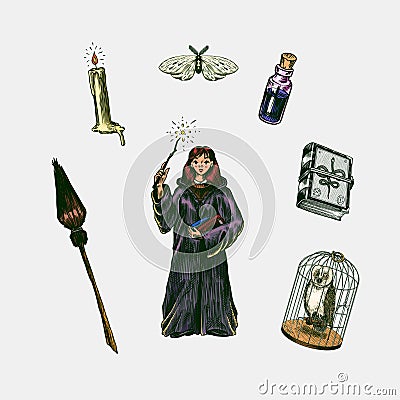 Witch brews a potion in a cauldron. Magic ball, book of spells, black cat, beldam and sorcery. Hand drawn engraved Vector Illustration