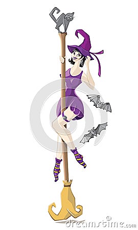 Witch on a broom Vector Illustration