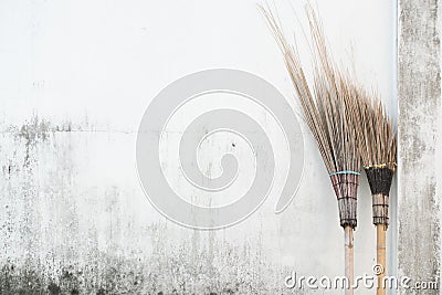 Witch broom Stock Photo