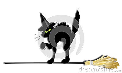Witch Cat Stock Photo