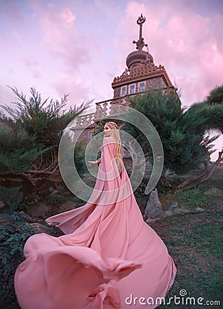 Witch elf rises to the castle, princess with blond hair, oblique and tiara dresses pink dress and cloak with a long Stock Photo