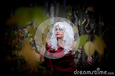 Witch in the woods on Halloween Stock Photo