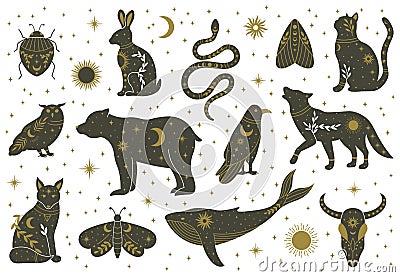 Witchcraft magic mystical boho doodle animals and insects. Magical cat, fox, wolf, owl, whale decorated with moon, stars Vector Illustration