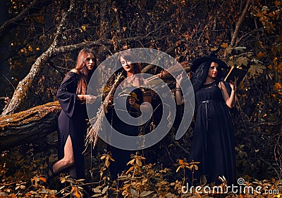 Witches in a dark forest Stock Photo