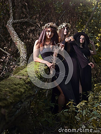 Witches in dark forest Stock Photo