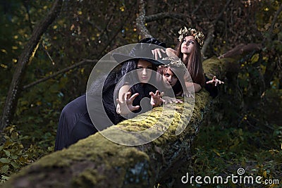 Witches in dark forest Stock Photo