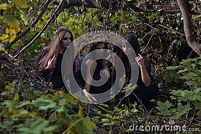 Witches in dark forest Stock Photo