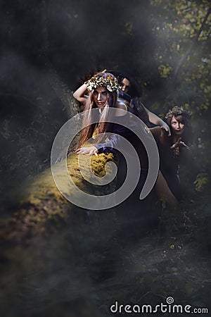 Witches in a dark misty forest Stock Photo