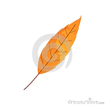 Withered autumn motley leaf. Fallen leaf with blot texture Vector Illustration