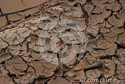 Withered convex mud texture Stock Photo