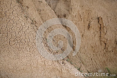Withered cracked soil and living plants plants on the seashore Stock Photo