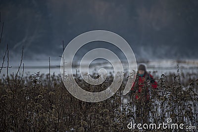 Withered flowers in winter closeup Stock Photo