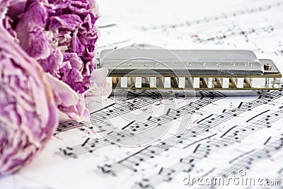 Withered peonies with harmonica are on the musical notes Stock Photo