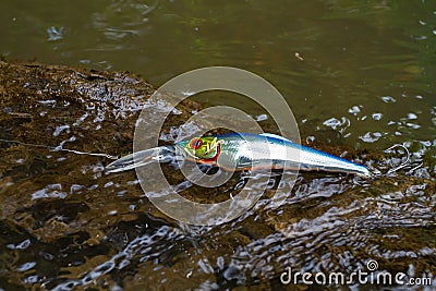 the wobbler lies on a snag shallowly in the water Stock Photo