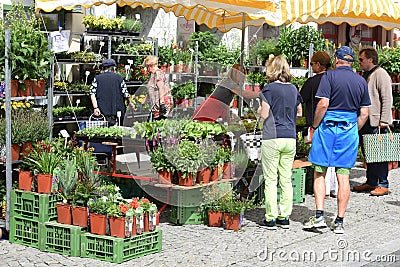 Weekly green market in Gmunden, Upper Austria; Austria, Europe Editorial Stock Photo