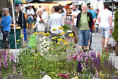 Weekly green market in Gmunden, Upper Austria; Austria, Europe Editorial Stock Photo