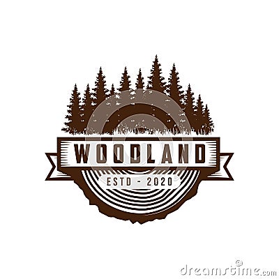 Rustic vintage evergreen, pines, spruce, cedar trees logo design vector Vector Illustration