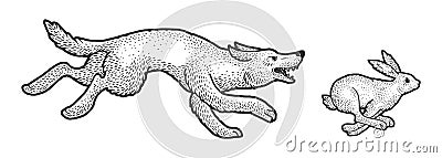 Wolf chasing hare sketch vector illustration Vector Illustration