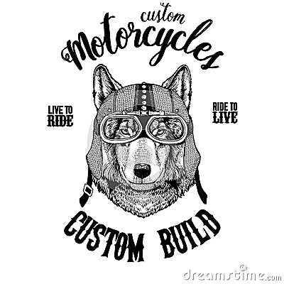 Wolf Dog Biker, motorcycle animal. Hand drawn image for tattoo, emblem, badge, logo, patch, t-shirt Vector Illustration