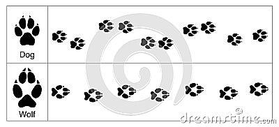 Wolf Dog Tracks Comparison Vector Illustration