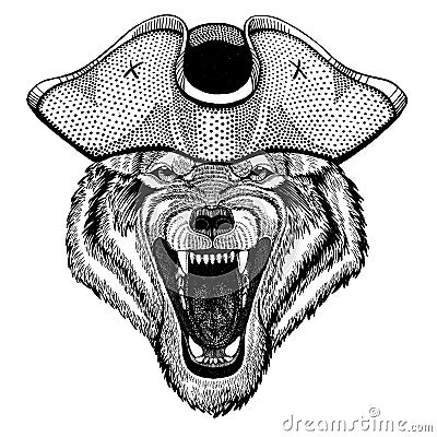 Wolf, dog wearing pirate tricorn hat. Capitan costume. Vector Illustration