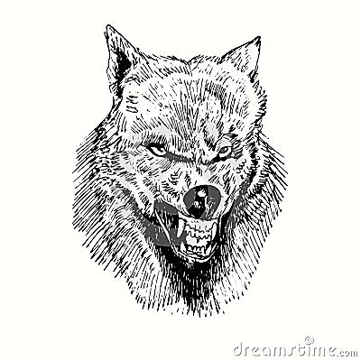 Wolf growling muzzle front view. Ink black and white doodle drawing Vector Illustration