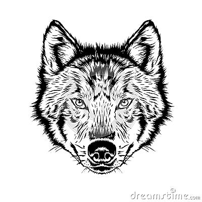 Wolf head. Beautiful wolf tattoo. Wild wolf logo stock. Cartoon Illustration