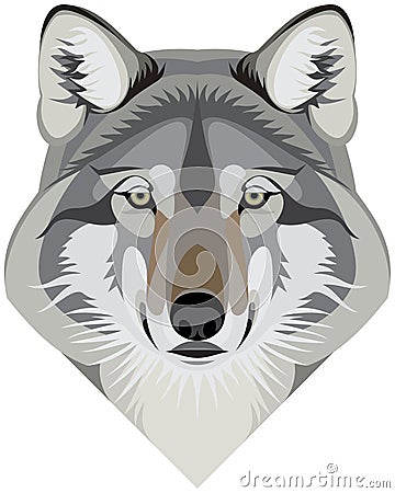 Wolf head face, western gray wolf mascot vector illustration Vector Illustration