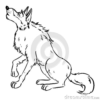Wolf howling on the moon. Dog or wolf lineart cartoon illustration. Canine in lineart style image. Wild animal in comic style Vector Illustration