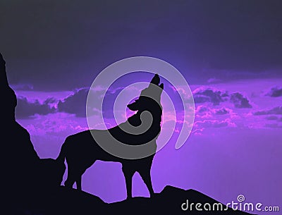 Wolf howling on a mountain cliff Stock Photo