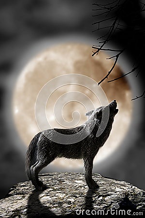 Wolf howling to the moon Stock Photo