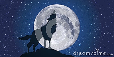 A wolf howling at night, in the moonlight Stock Photo