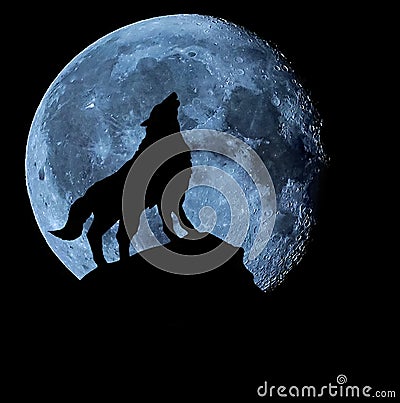 The wolf on the rock howls at the moon Stock Photo