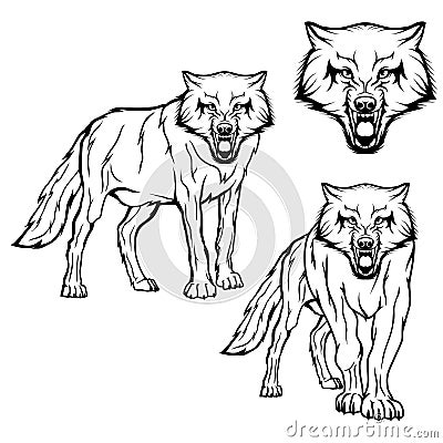 Wolf set. Vector Illustration