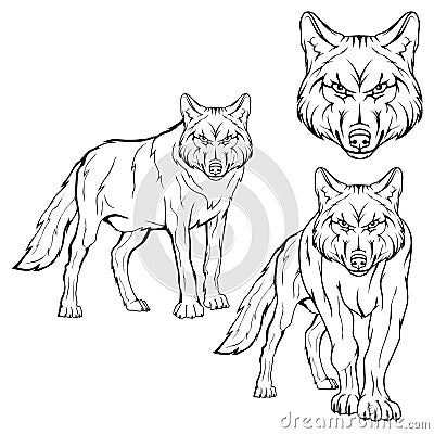 Wolf set. Vector Illustration