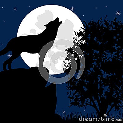 Wolf on stone in the night Vector Illustration