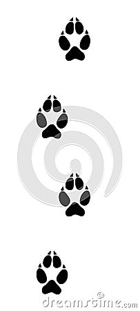 Wolf Tracks Black Footprints Vector Illustration