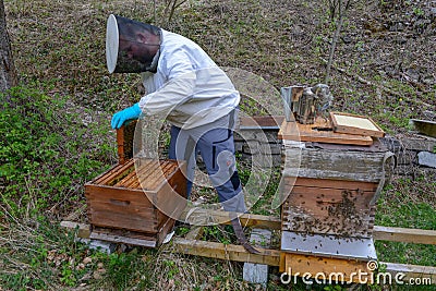 Beekeeper who is checking his honey production at Wolfenschissen on the Swiss alps Editorial Stock Photo