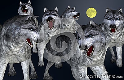 Wolves on full moon night Stock Photo