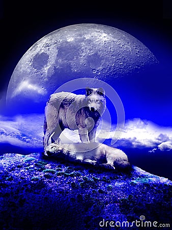 Wolves under the moon Stock Photo