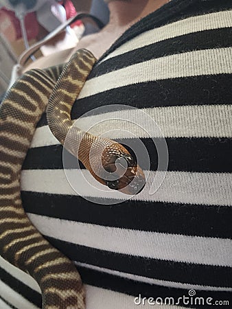 Woma in control Stock Photo