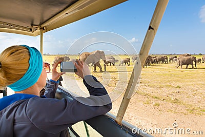 Woman on african wildlife safari. Stock Photo