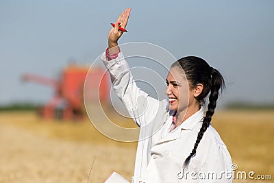 Woman agronomist in wheat field Stock Photo