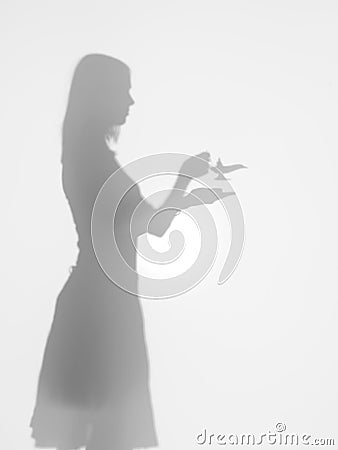 Woman with alladin lamp, silhouette Stock Photo