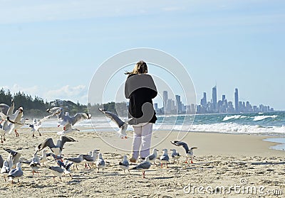 Woman alone walking on beach surrounded by flock sea birds & distant city life Stock Photo