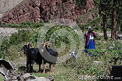 Woman from the Andes Editorial Stock Photo