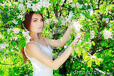 Woman with apple tree Stock Photo