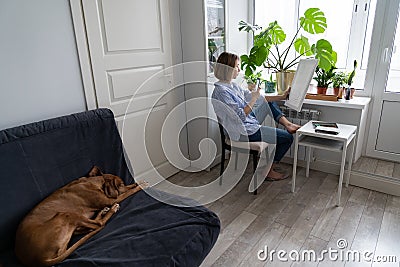 Woman artist paints a picture on canvas, takes a photo on smartphone, sitting by the window at home Stock Photo