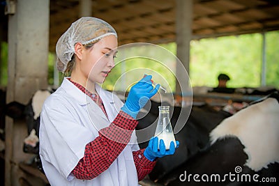 Woman Asian agronomist or animal doctor collecting milk sample at dairy farm Stock Photo